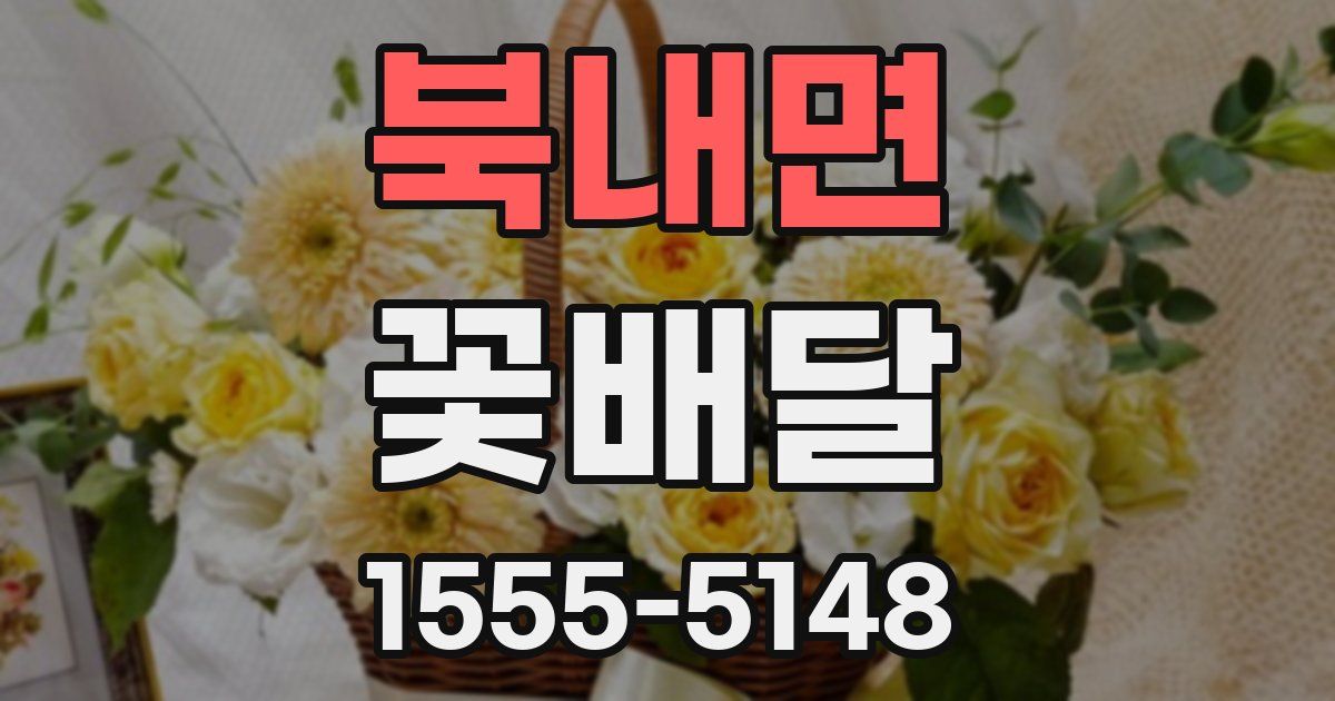 북내면 꽃배달