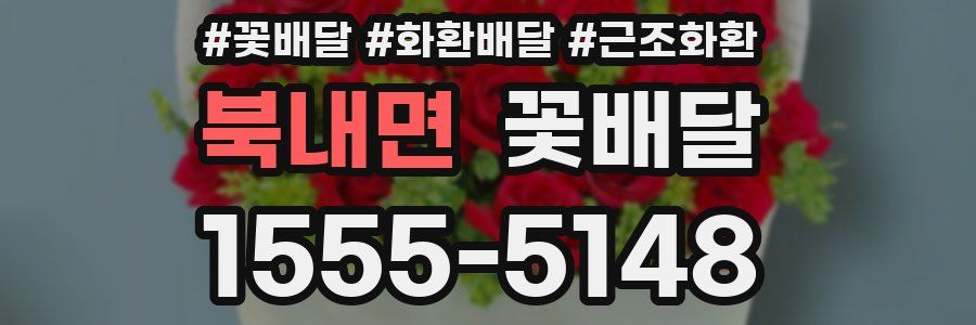 북내면 꽃배달