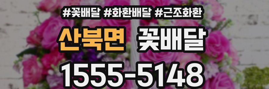 산북면 꽃배달