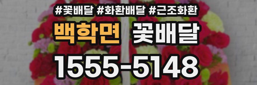 백학면 꽃배달