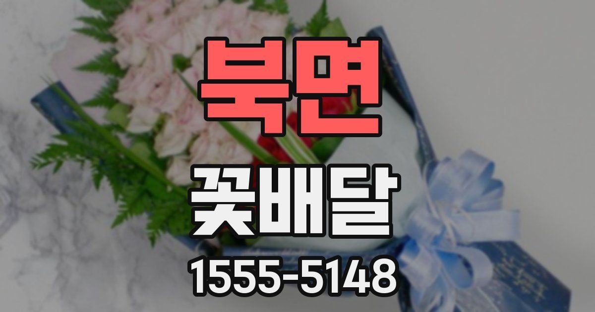 북면 꽃배달