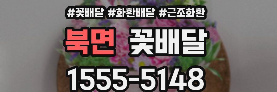 북면 꽃배달