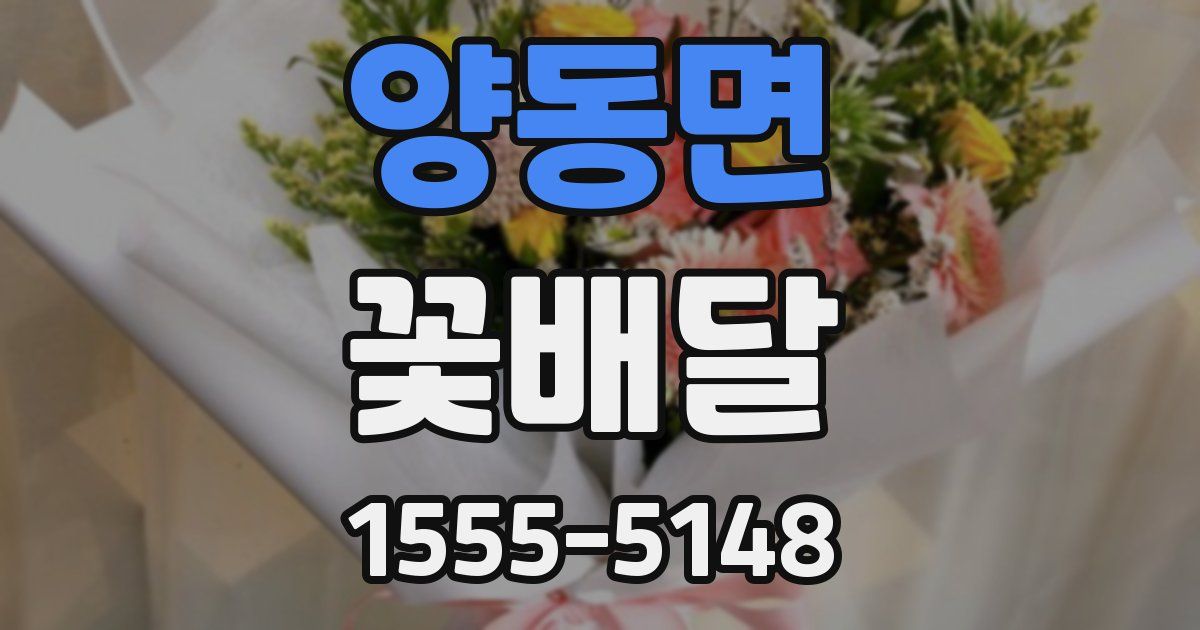 양동면 꽃배달