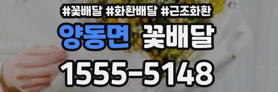 양동면 꽃배달