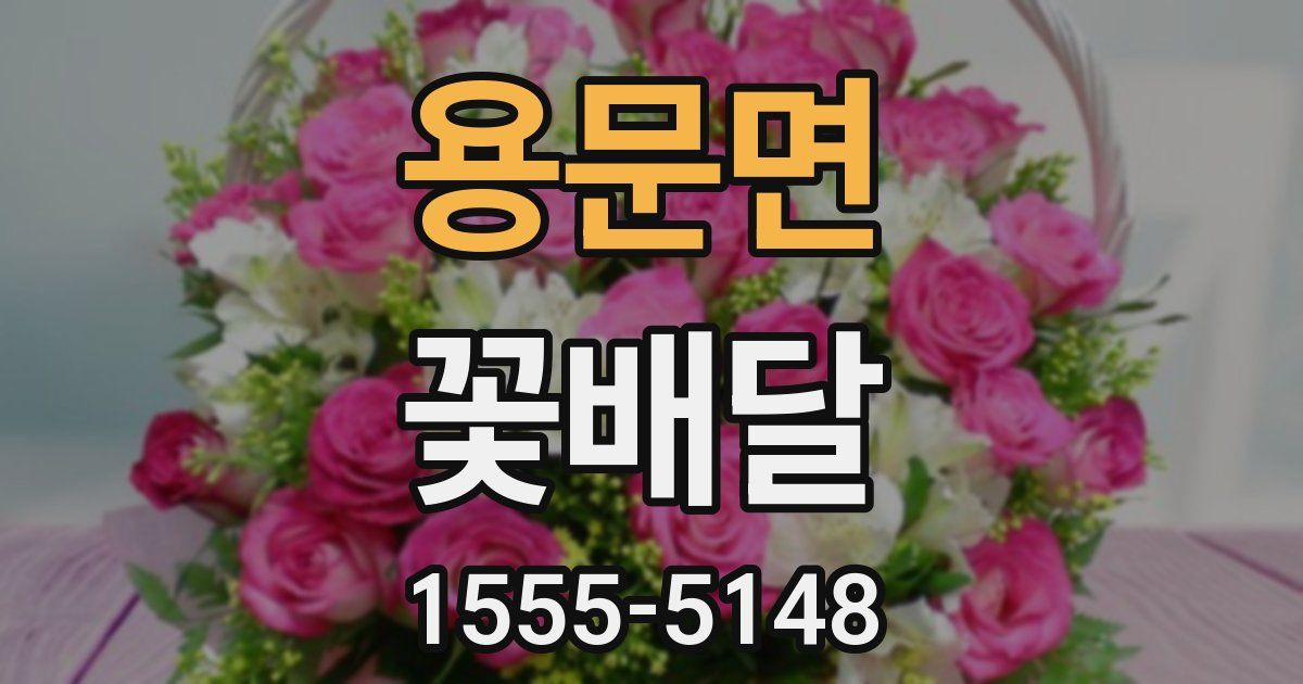 용문면 꽃배달