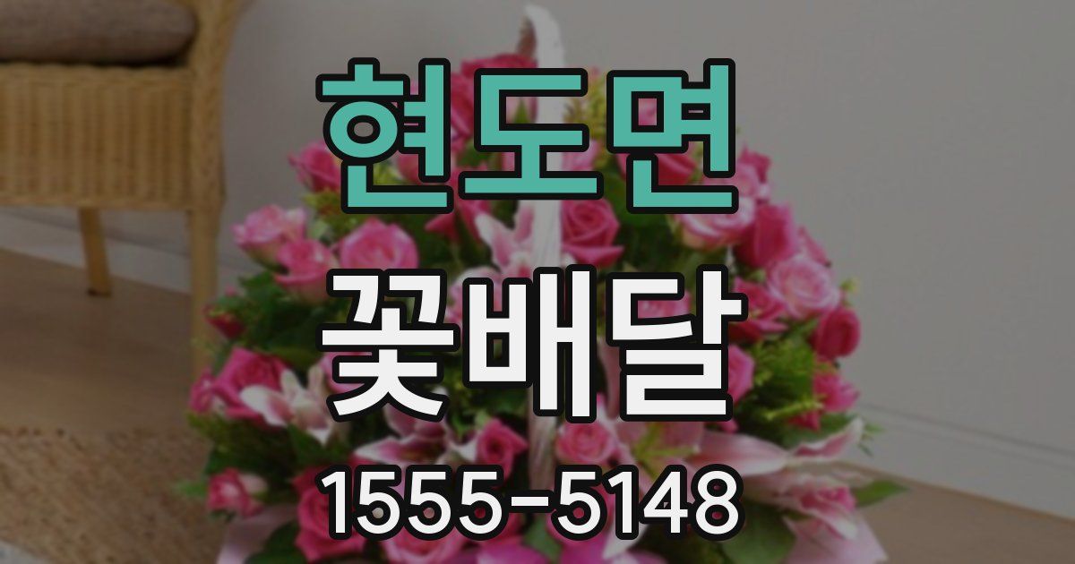 현도면 꽃배달