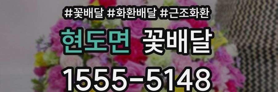 현도면 꽃배달