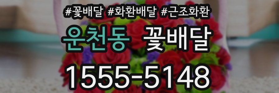 운천동 꽃배달