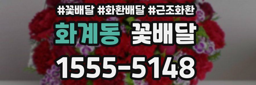 화계동 꽃배달