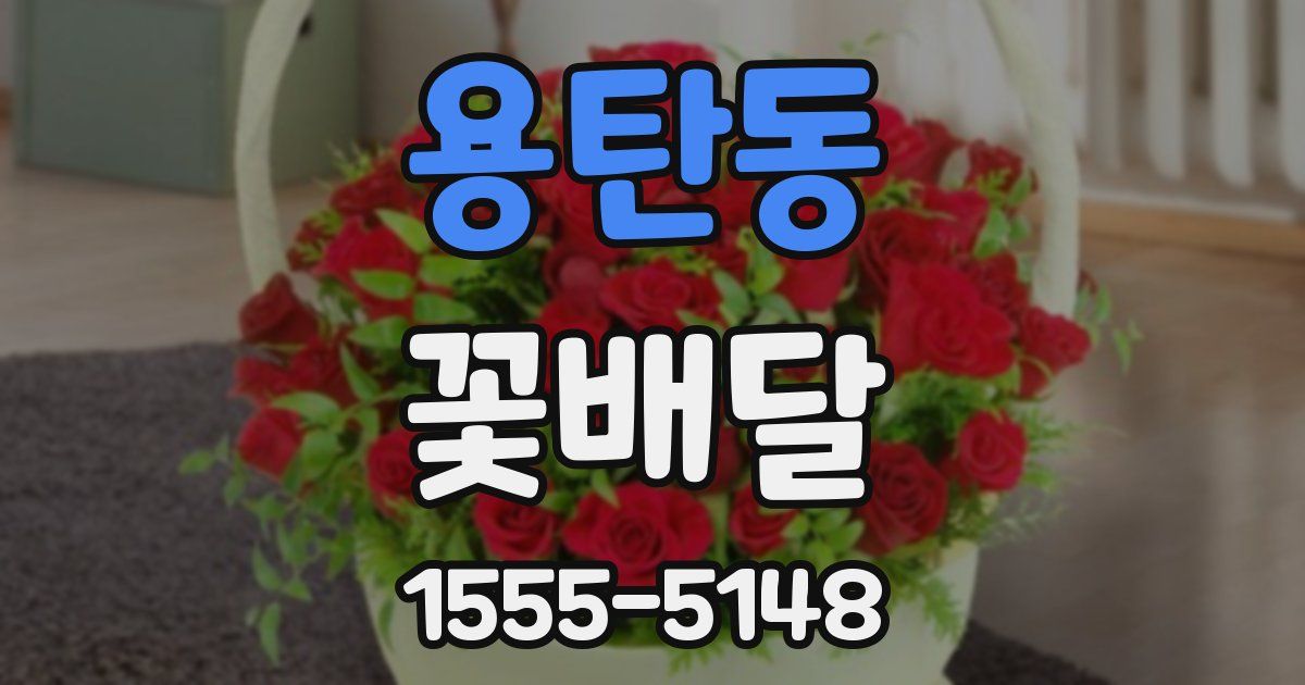 용탄동 꽃배달