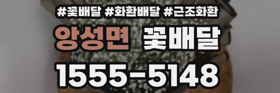 앙성면 꽃배달