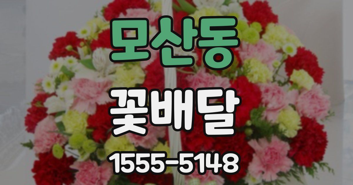 모산동 꽃배달