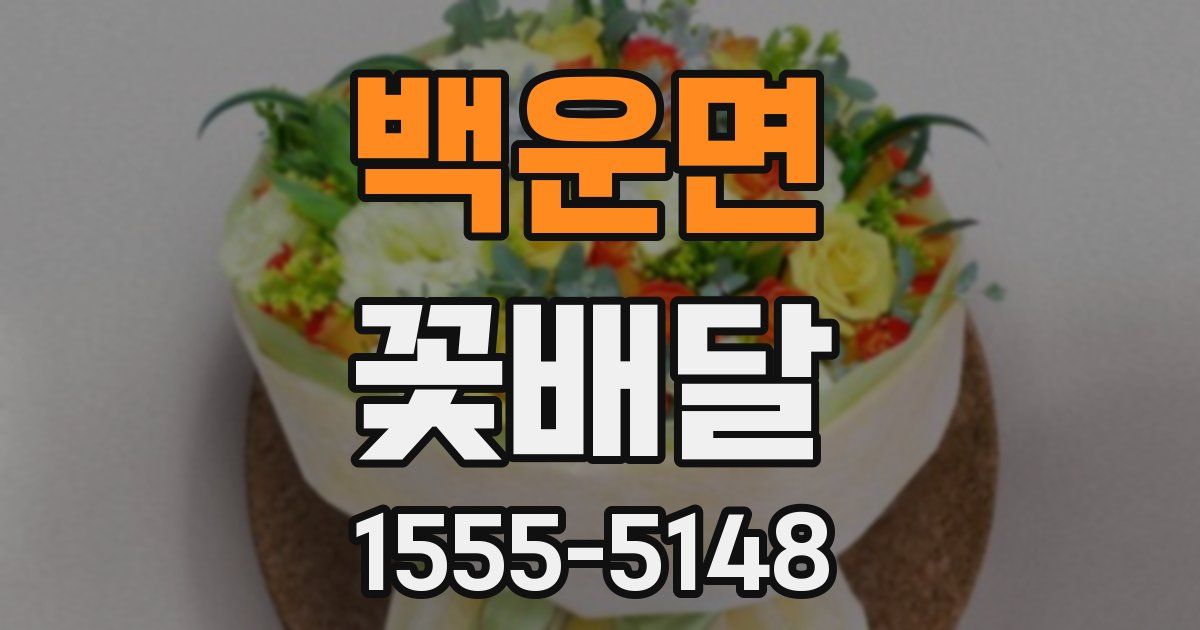 백운면 꽃배달