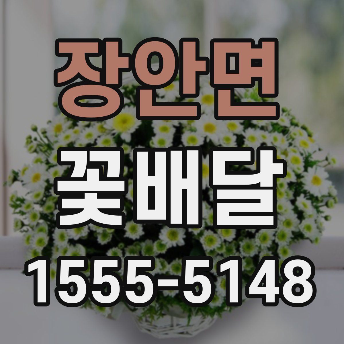 장안면 꽃배달