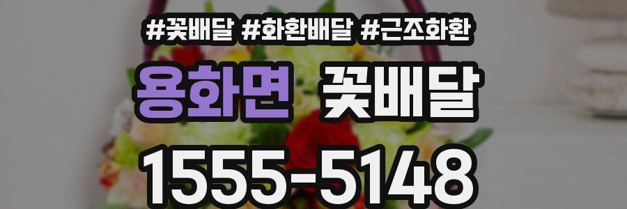 용화면 꽃배달