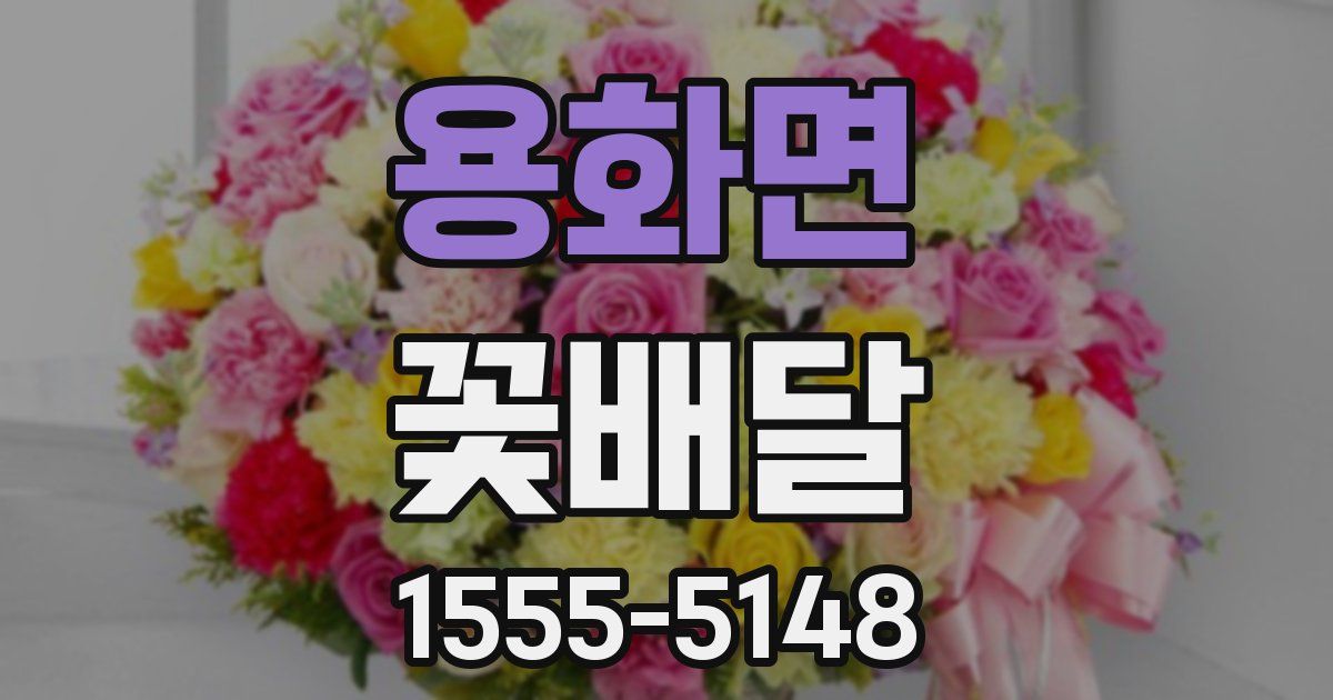 용화면 꽃배달