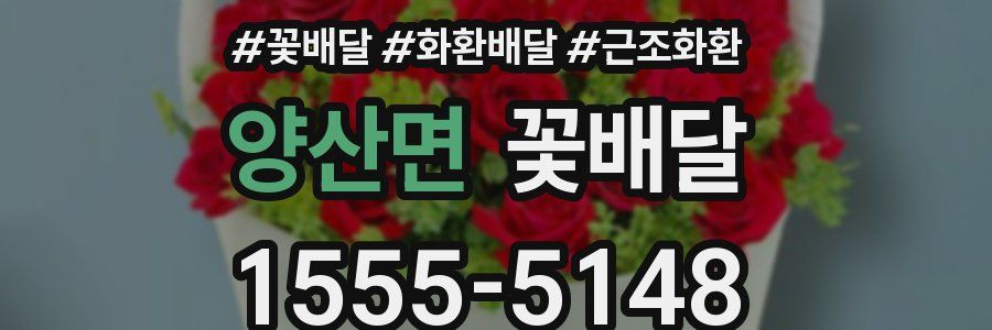 양산면 꽃배달