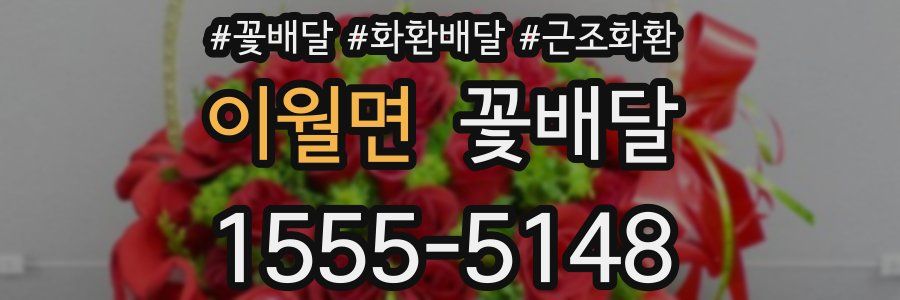 이월면 꽃배달
