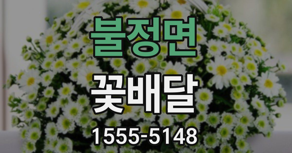불정면 꽃배달