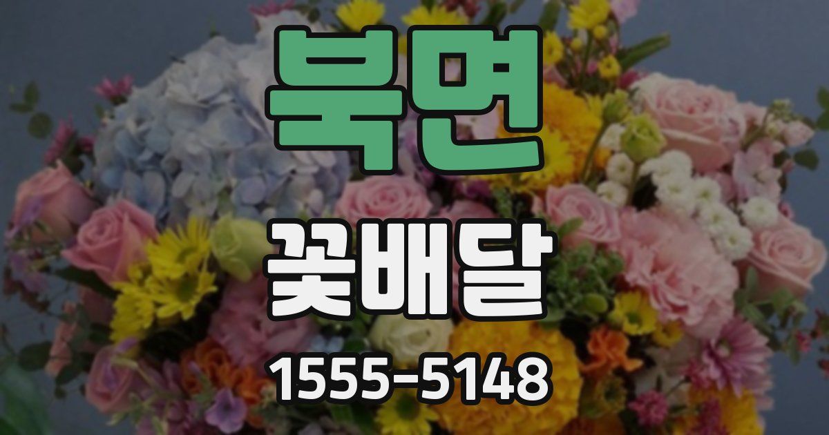 북면 꽃배달