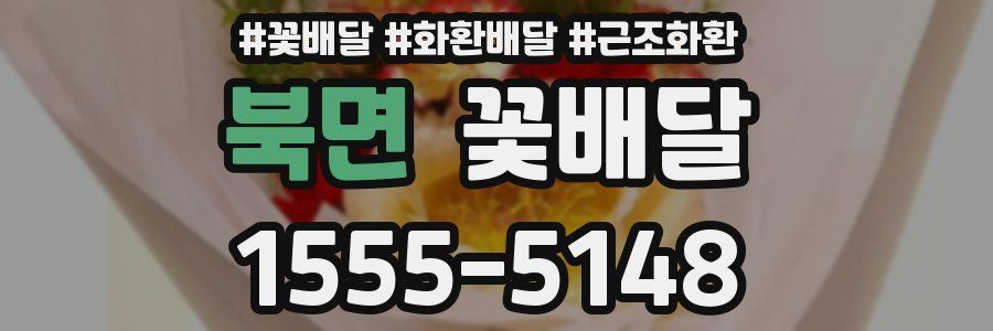 북면 꽃배달