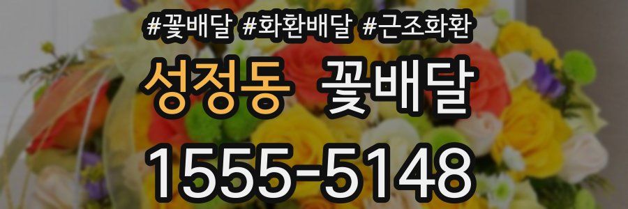 성정동 꽃배달