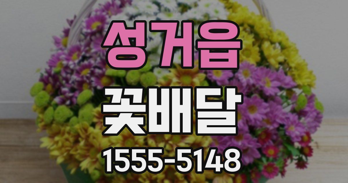 성거읍 꽃배달