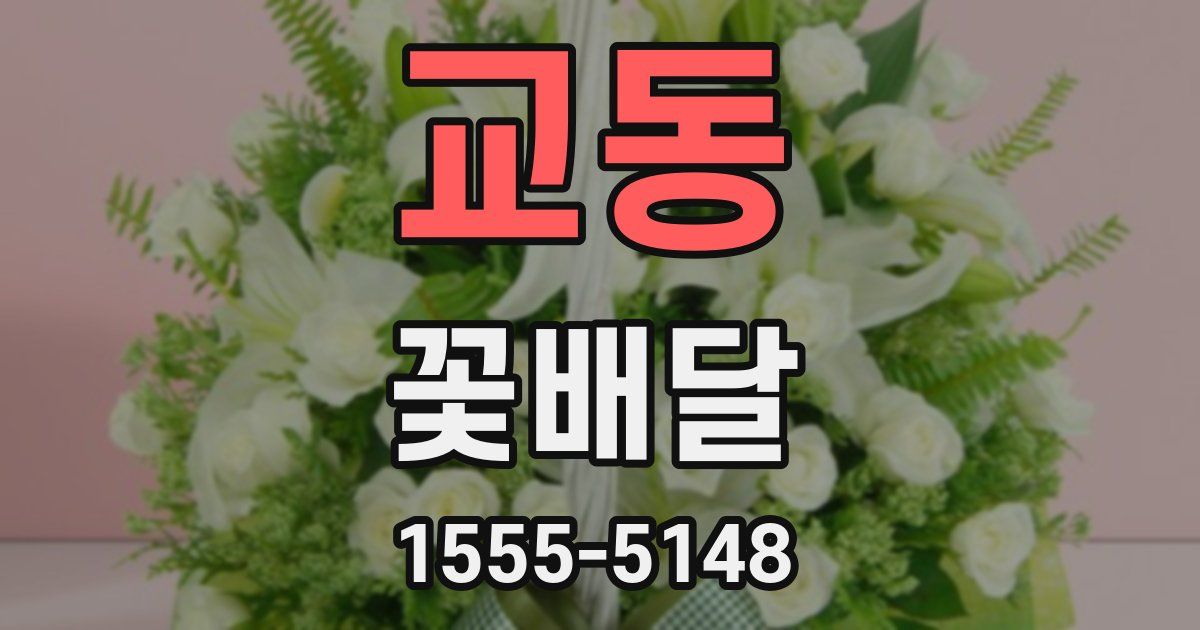 교동 꽃배달