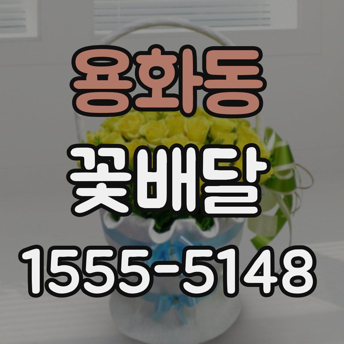 용화동 꽃배달