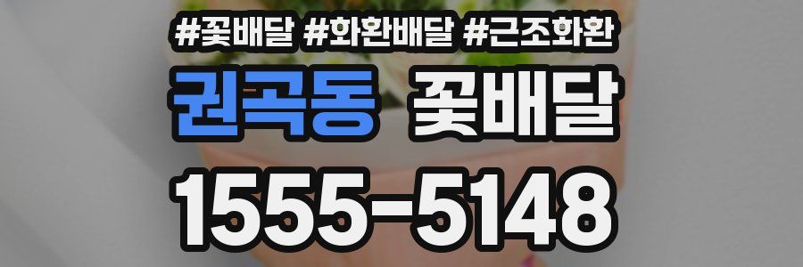 권곡동 꽃배달