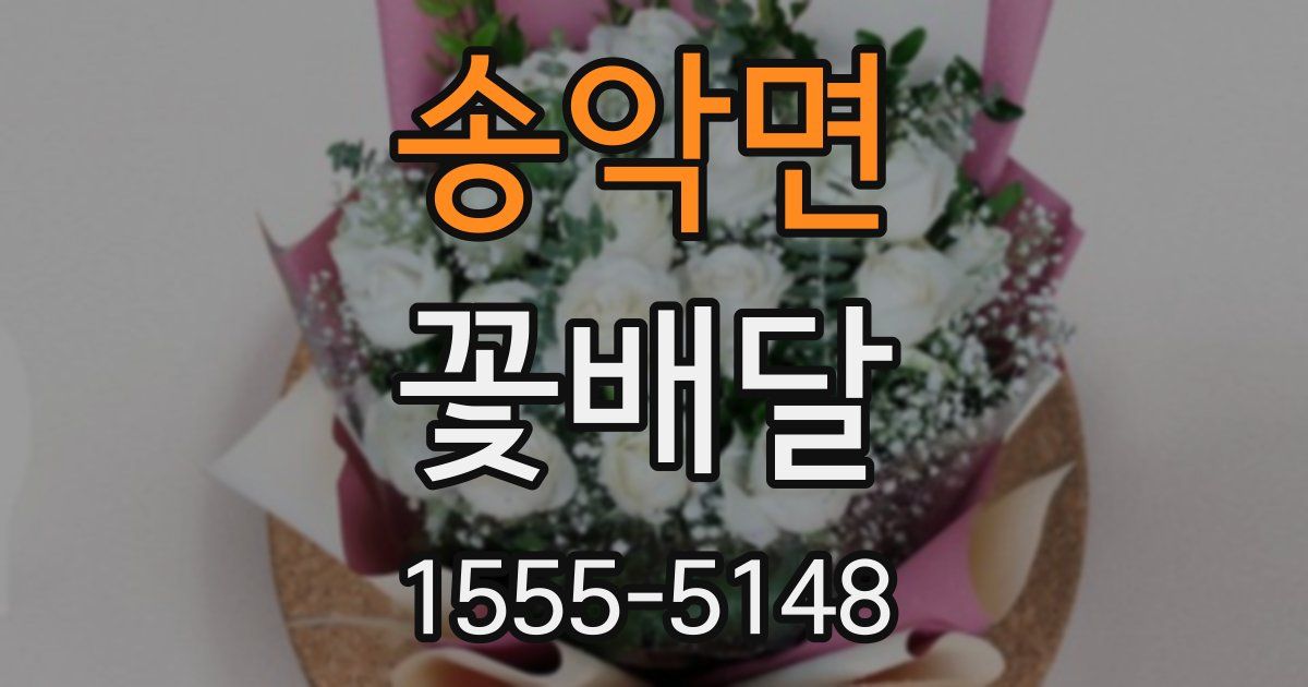 송악면 꽃배달
