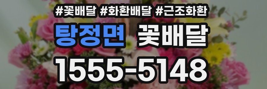 탕정면 꽃배달
