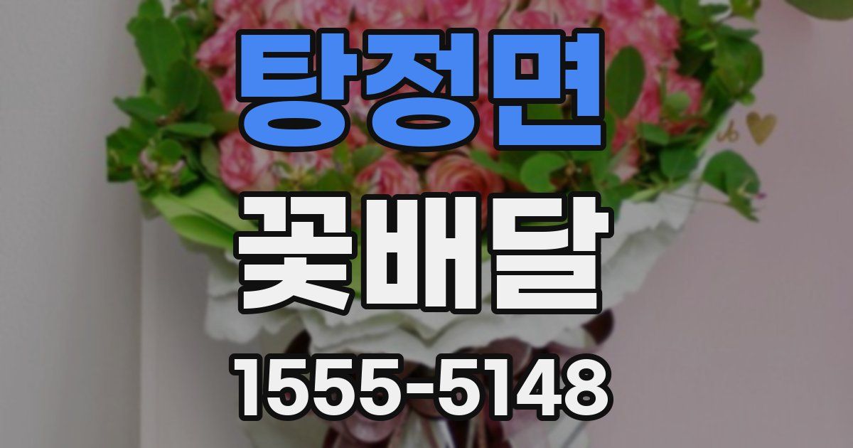 탕정면 꽃배달