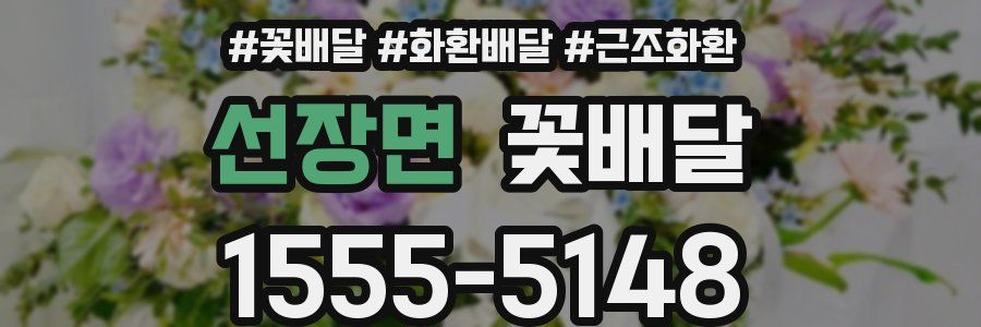 선장면 꽃배달