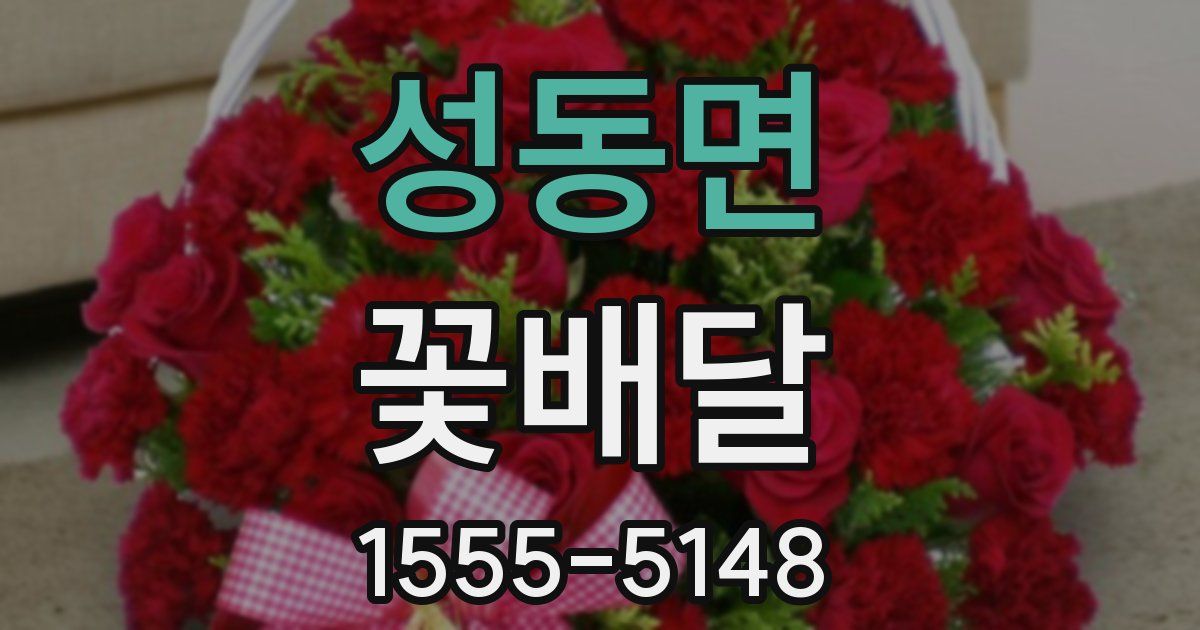성동면 꽃배달