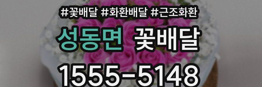 성동면 꽃배달