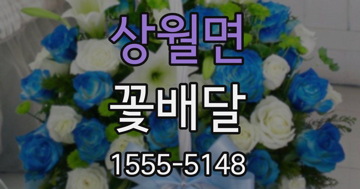 상월면 꽃배달