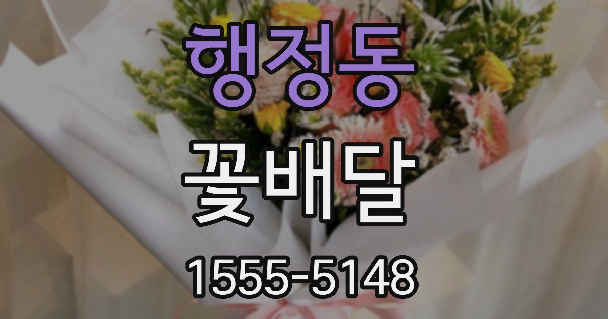행정동 꽃배달
