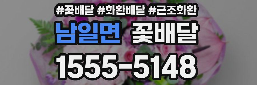 남일면 꽃배달