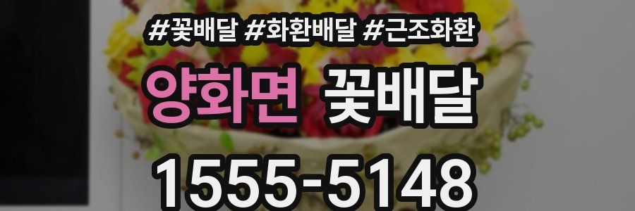 양화면 꽃배달
