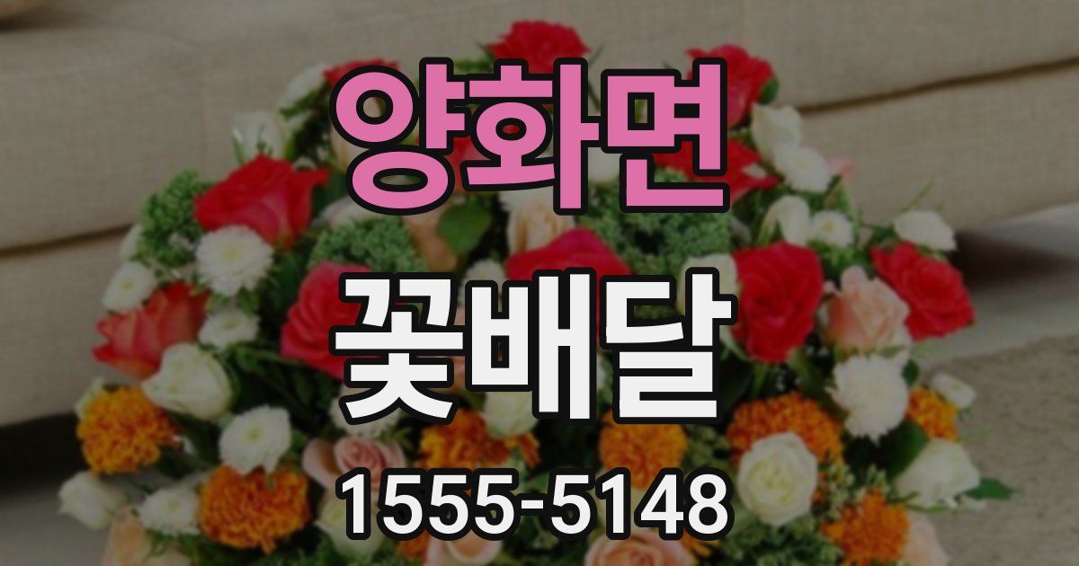 양화면 꽃배달