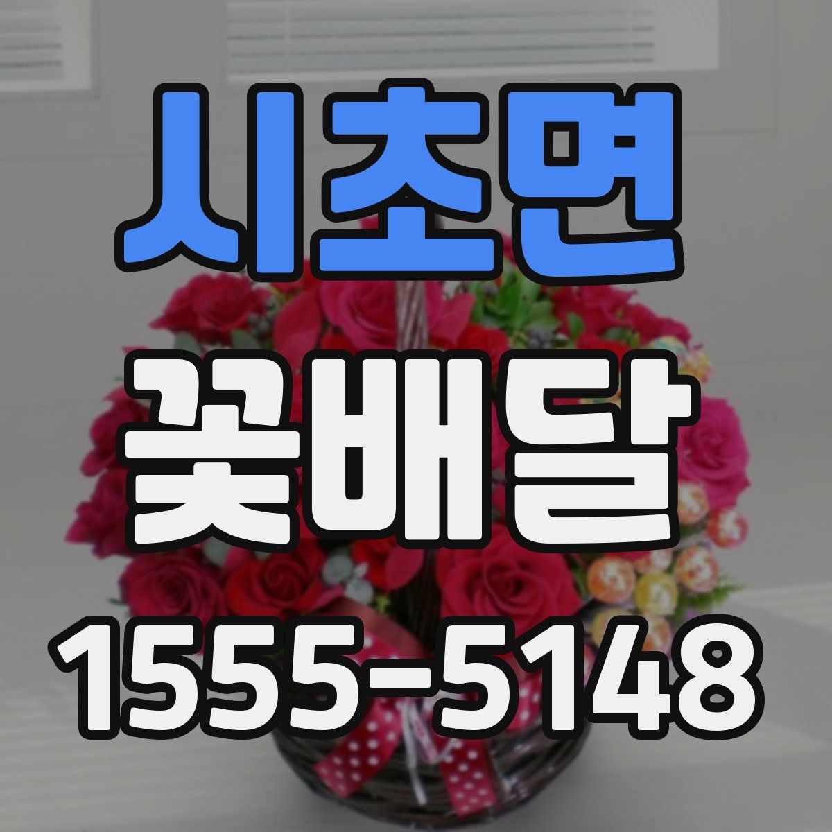 시초면 꽃배달