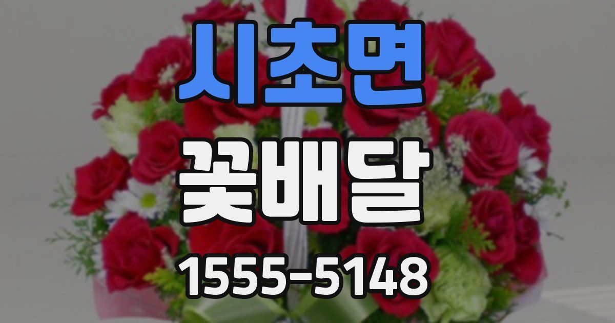 시초면 꽃배달