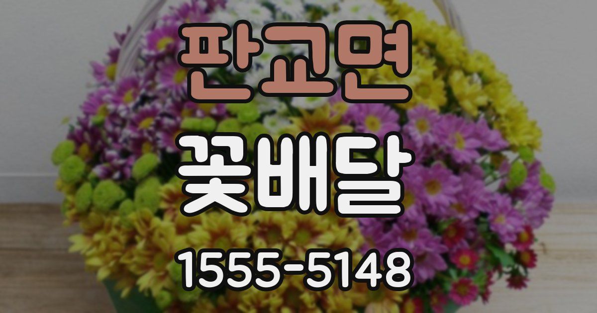 판교면 꽃배달