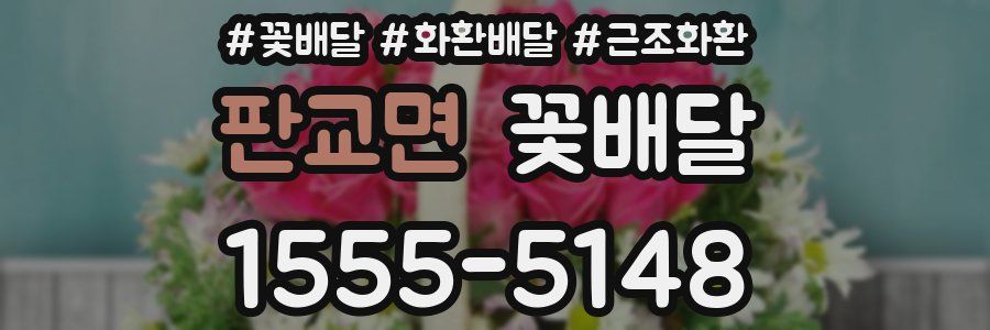 판교면 꽃배달