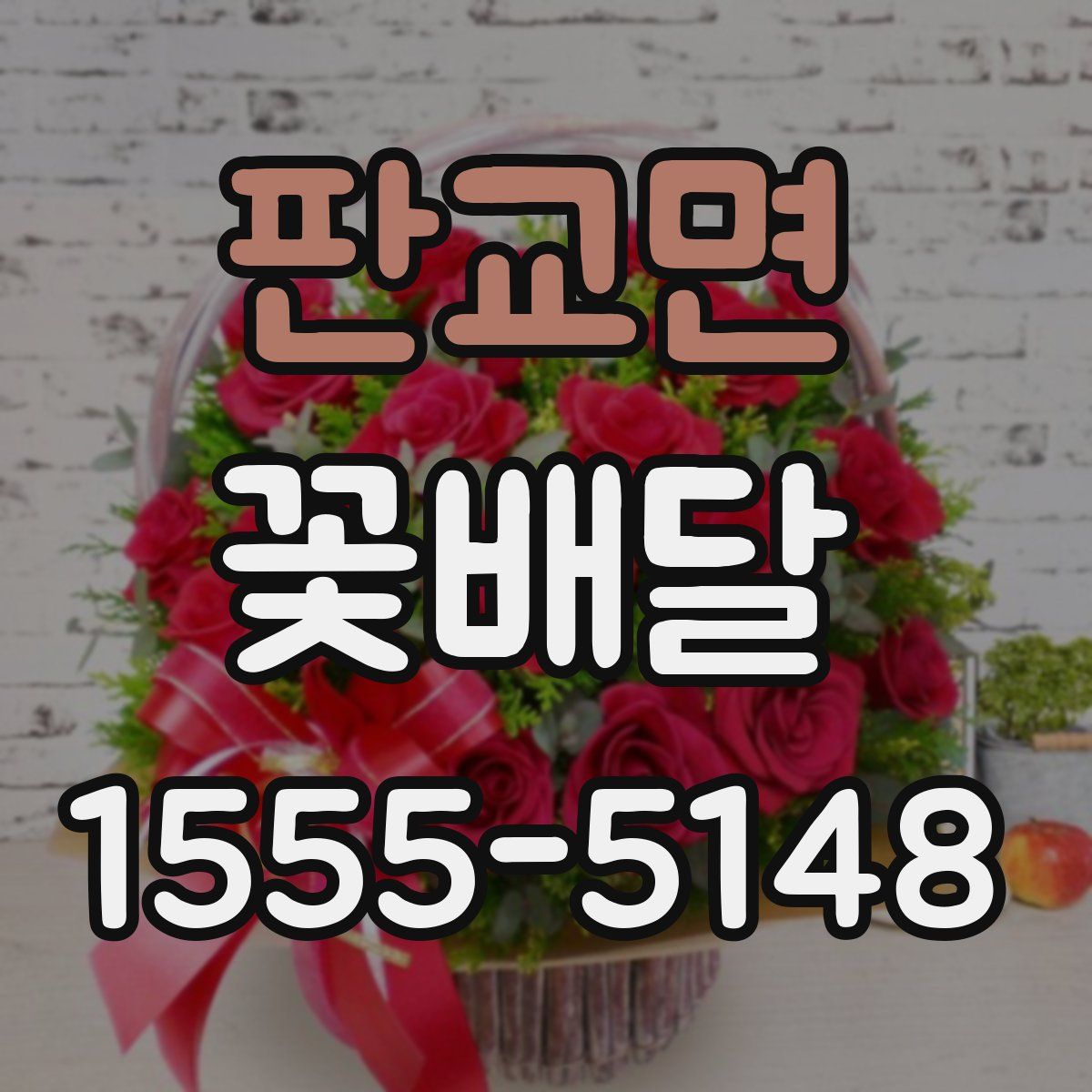 판교면 꽃배달