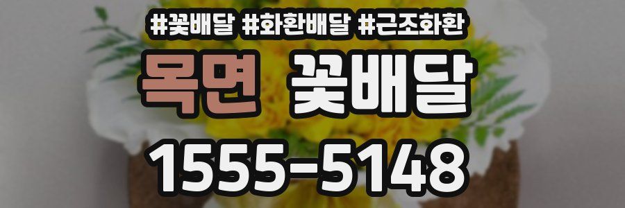 목면 꽃배달