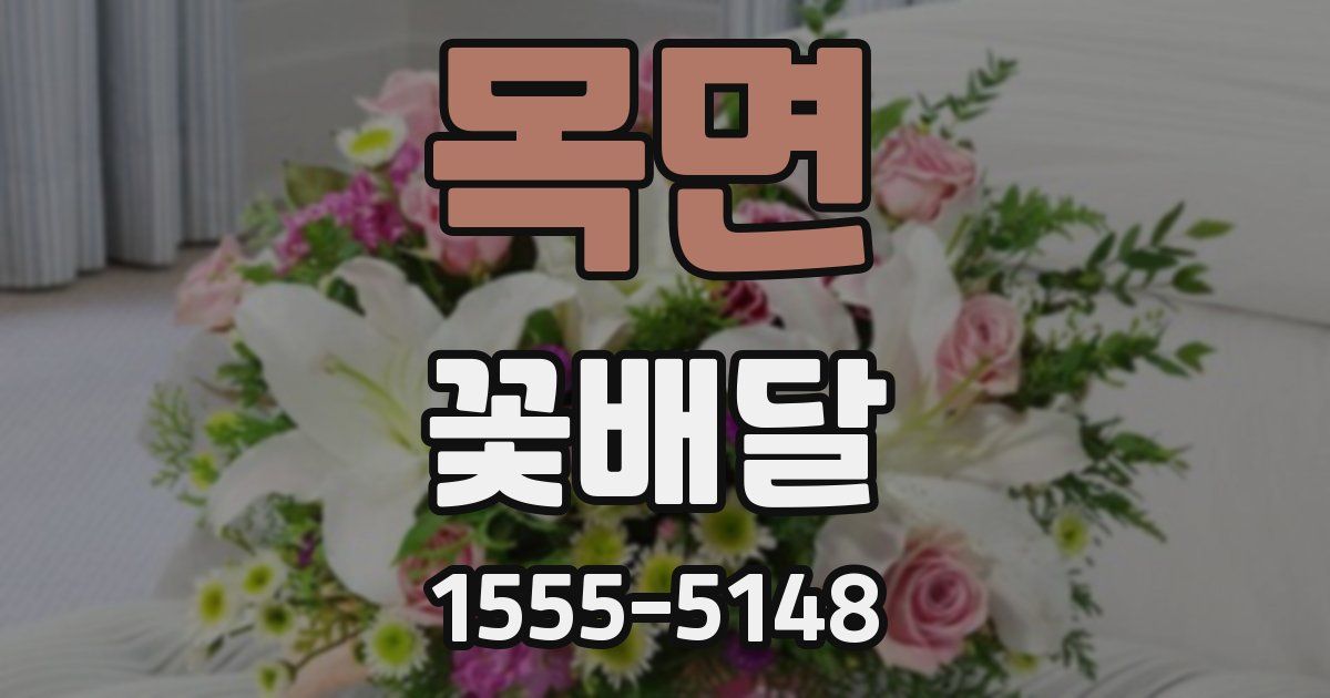 목면 꽃배달