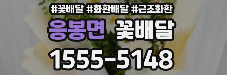응봉면 꽃배달