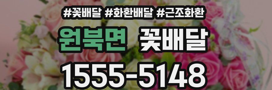원북면 꽃배달